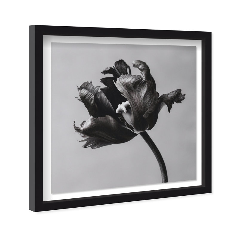Tidal Wilt I Print by Oliver Gal, 25.5"H x 25.5"W, Black Shadowbox