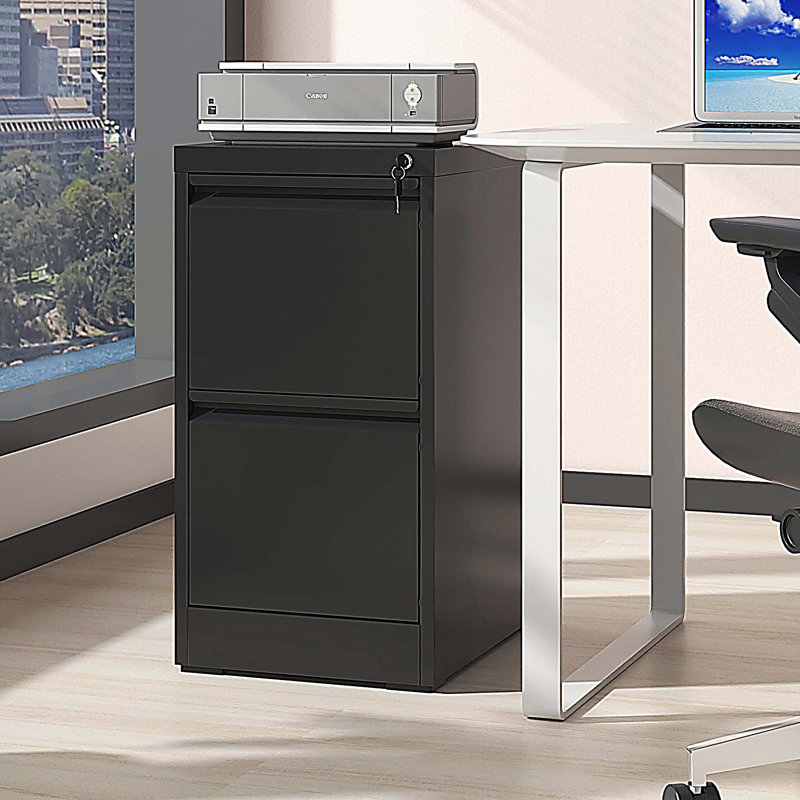 2 Drawer Metal Vertical File Cabinet with Lock Office Home Steel Vertical File Cabinet, Black