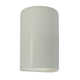 Logan Single Light Ceramic Dimmable Flush Mounted Sconce
