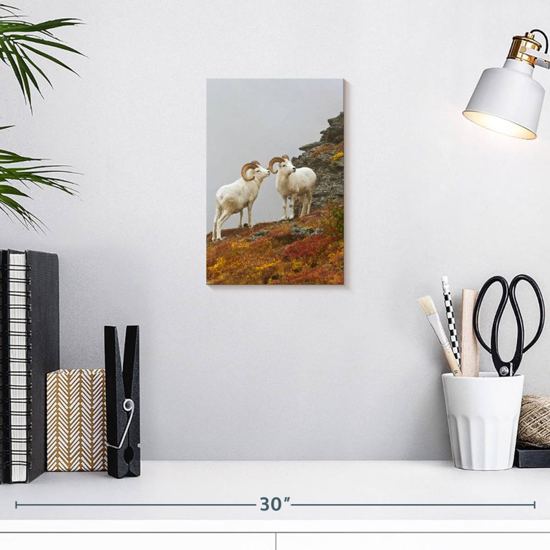White Bighorn Sheep, 12" H x 8" W