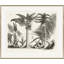Malaberica Brittanica Giclee Print