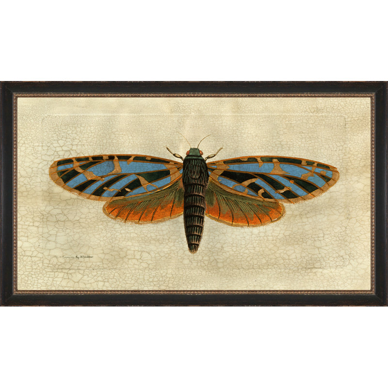 Crackled Moth 2 Painting
