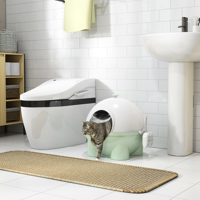 Litière pour chat, grande taille avec couvercle, pédale de sable qui fuit, odeur, et spacieuse pour les chats sensibles à la casserole de 9 lb