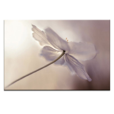 Print on Canvas