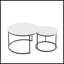 Ensemble de 2 tables basses gigognes-1598410251-1598410250