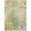 Tapis extérieur lavable floral vert et ivoire 3 pi x 5 pi