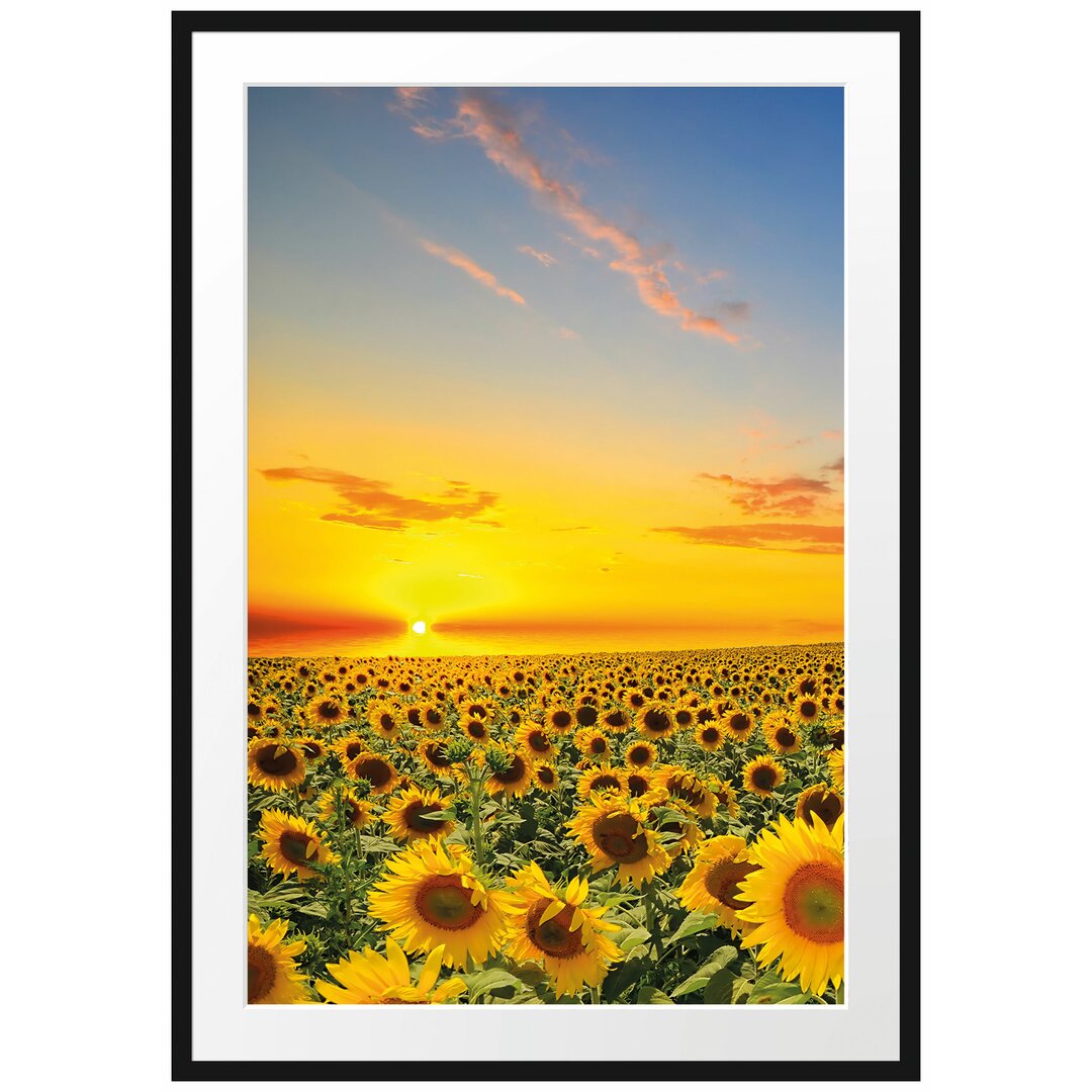 Gerahmtes Poster Sonnenuntergang Sonnenblumen