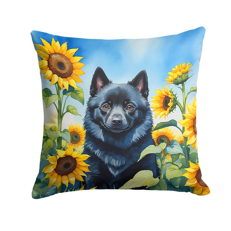 Coussin décoratif intérieur / extérieur Autre / Sans motif, H 18 po x l 18 po