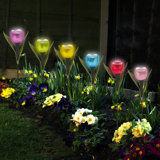 Alyvea Black Solar Powered Pathway Lights