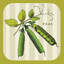 « linen legumes iv », impression sur toile-20822278-72810143-72810144