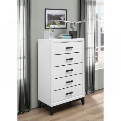 5-Drawer Modern Coastal Vertical Storage Chest