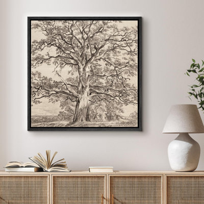Monochrome Tree - Floater Frame Print on Canvas