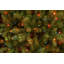 The Holiday Aisle® Dunhill Fir Tree with Multicolor Lights-551881115