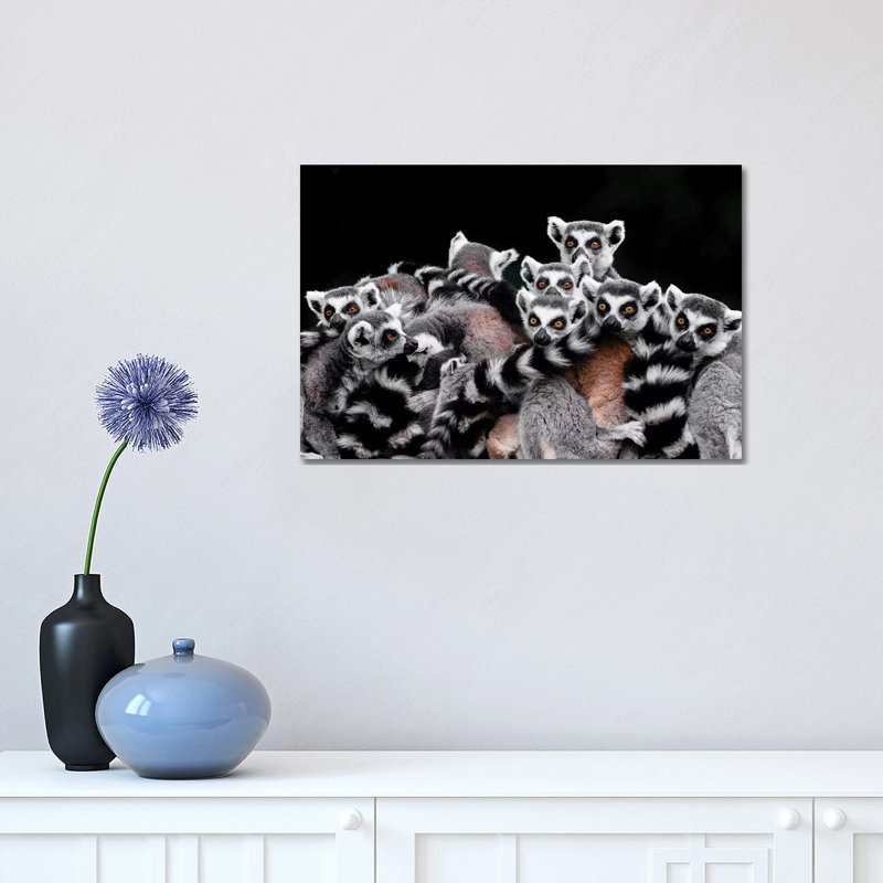 Lemurs 1 Piece Wrapped Canvas Wall Art, 30.48 cm H x 45.72 cm W