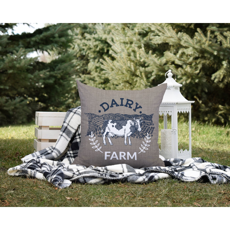 Oreiller intérieur / extérieur Bety Barnyard, L 15 po x H 15 po, Ombre