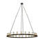 Newsome 24 - Light Chandelier