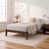 Noyer