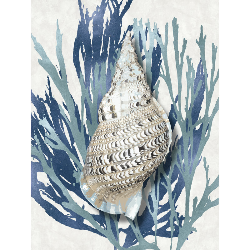«Shell Coral Aqua Blue I» par Caroline Kelly - impression sur toile tendue, H 24 po x l 18 po