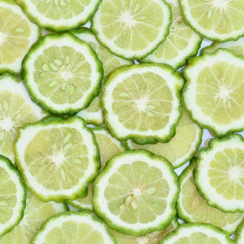 Fresh Bergamot Slice by Peangdao - Wrapped Canvas Print, 30cm H x 30cm W