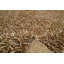 Funny Solid Colour Hand Woven Area Rug-29469763