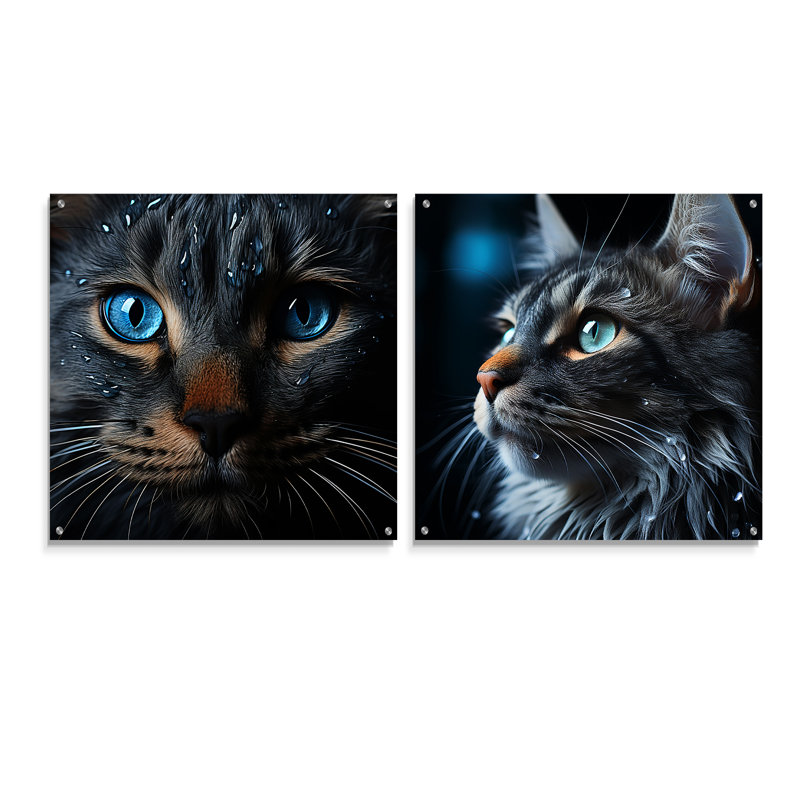 «Cat Blue Eye Reflection», ensemble de 2 peintures murales en acrylique, H 16 po x l 33 po