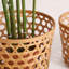 Bay Isle Home Bamboo Decorative Basket