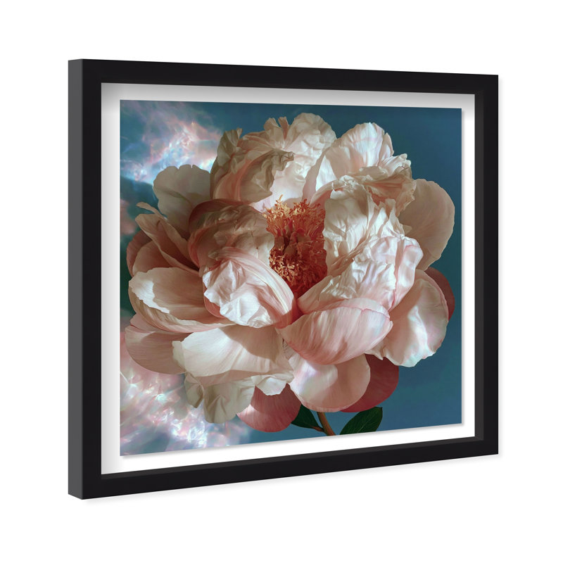 " Silk Petal Core " by Oliver Gal, 31.5"H x 31.5"W, Black Frame