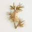 Albizia 3 - Light Design Wall Light