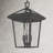 Lalla 3-Light Outdoor Hanging Lantern