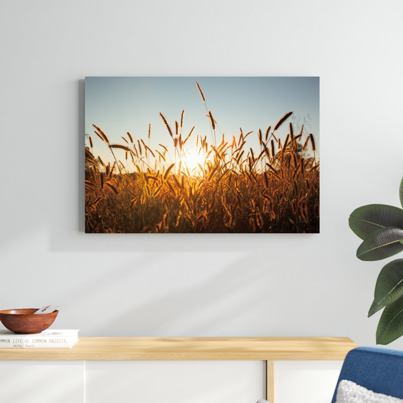 Morning Grain - Wrapped Canvas Photograph, 24" H x 36" W 