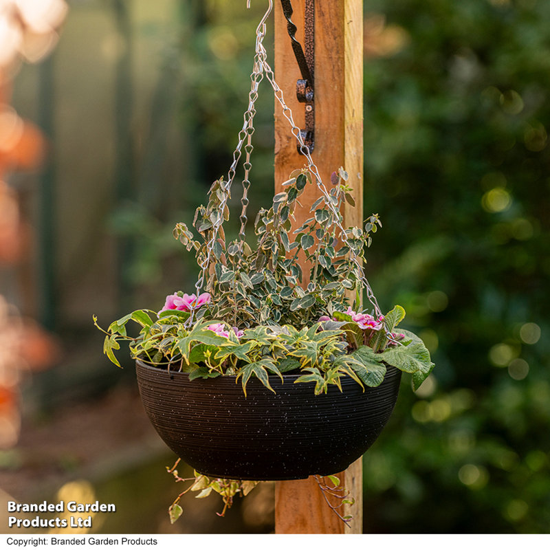 Hanging Planter, 2