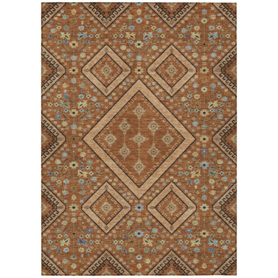 Machine Washable Indoor/Outdoor Chantille ACN2459 Casual Rug