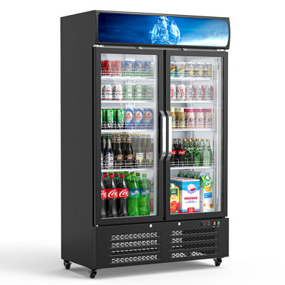 Domccy 28 cu. ft. Commercial Beverage Refrigerator with Glass Door & LED Lighting
