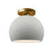 Single Light Ceramic LED Semi Flush Mount