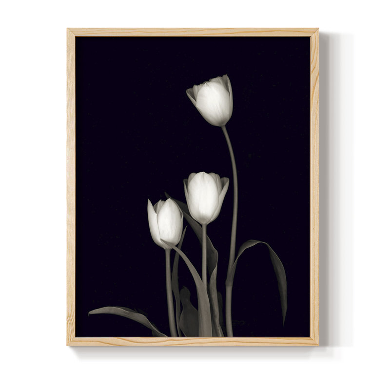 Tulipe Pose III, reproduction encadrée - bois massif, H 15 po x l 12 po