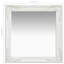 Ginsberg Mirror-1237387816-1237408071
