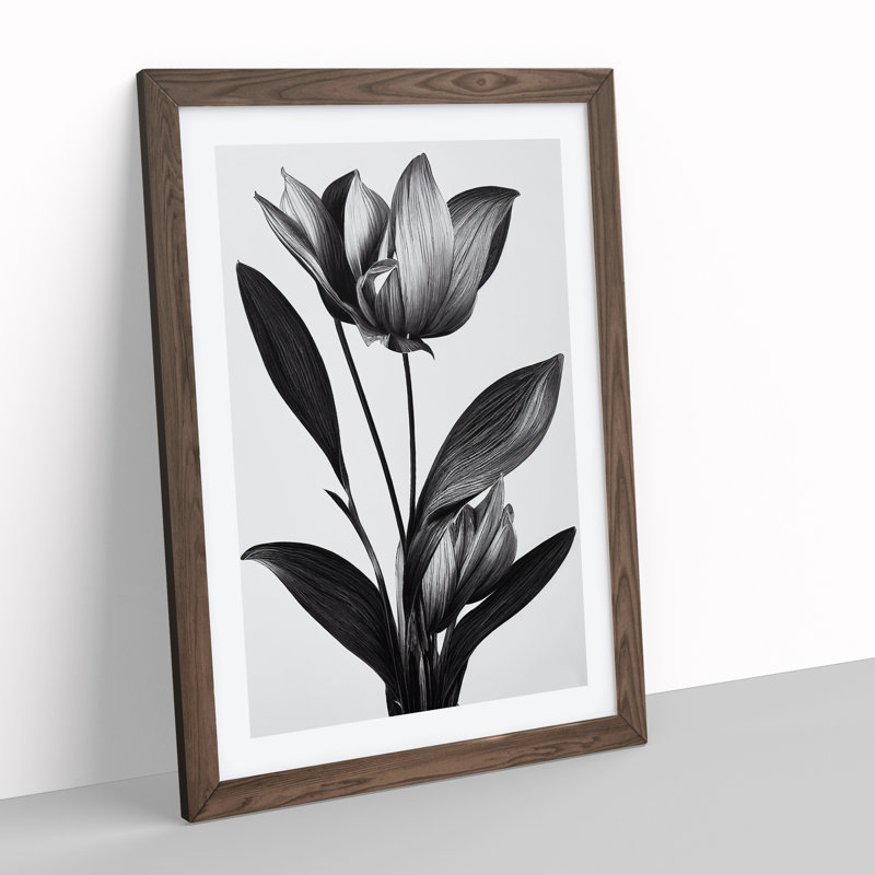 XV1022-2844X Monochrome Flower - Single Picture Frame Painting, Walnut, 64cm H x 46cm W x 2cm D