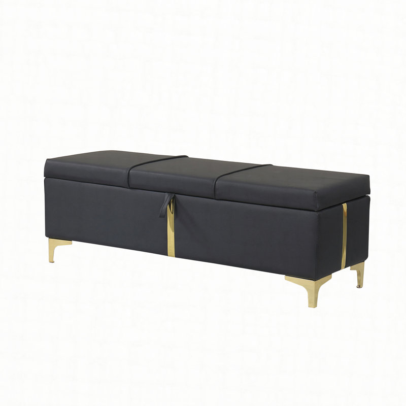 Banc de rangement rembourré Zeger, Noir incorrect