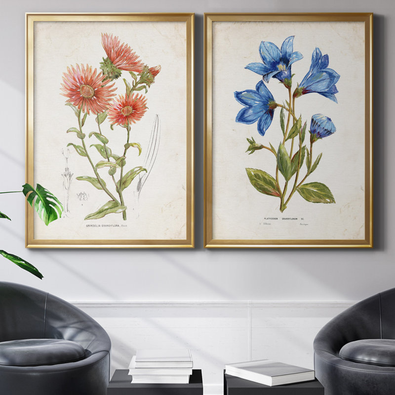 «Botanical I», ensemble de 2 reproductions d'art, Pas de tapis, Toile encadrée dorée, H 18,5 po x l 49 po x P 1,5 po