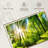 " Forest Sunshine "-900367252