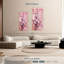 Fleurs d'amandier japonais-923133911