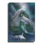 Highland Dunes «Dance of the Dolphins» par Carol Cavalaris, art mural en métal-495876397