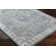 Bejou Oriental Indoor Rug