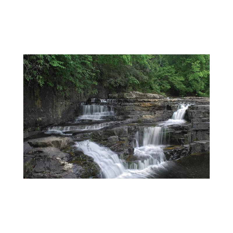 Dismal Falls, Jefferson National Forest, Virginia 1 Piece Wall Art on Canvas, 20.32 cm H x 30.48 cm W, Canvas