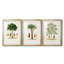 Arbre antique avec fruit - impression encadrée sur mesure de qualité supérieure matte - 3 pièces-6369804