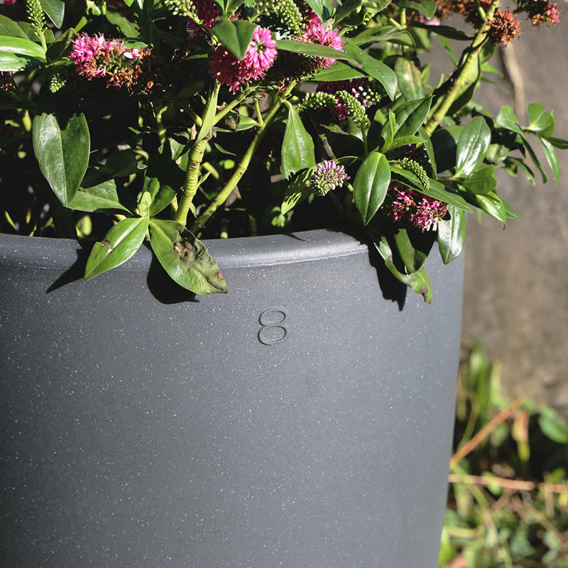 Eliora Pot Planter, 100cm H x 49cm W x 49cm D