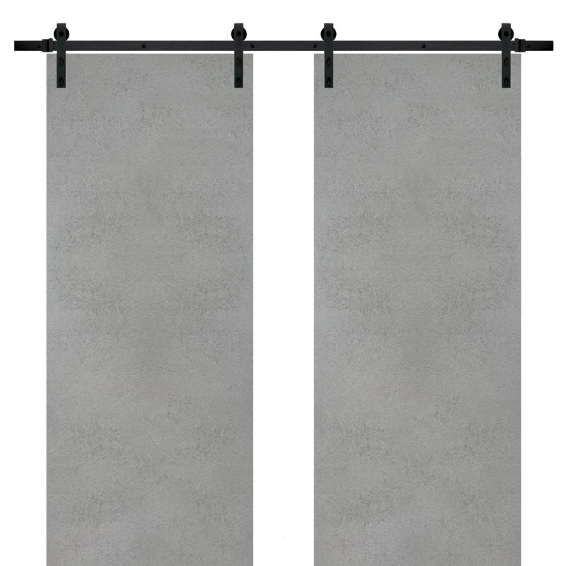 Porte de grange double robuste avec quincaillerie | Planum 0010 | Ensemble de 13 cintres lourds pour rail | Portes intérieures modernes à panneau solide - Rail noir