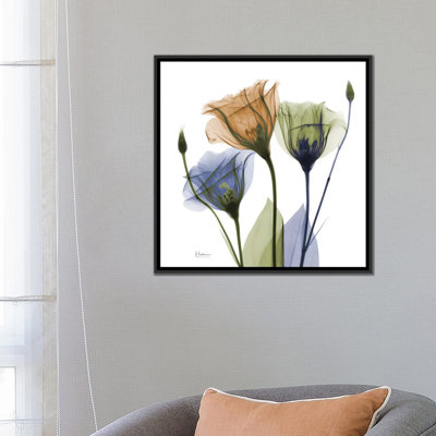 " Gentian Buddies " by Albert Koetsier