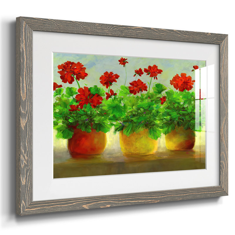 Geraniums III, reproduction d'art encadrée, Gris, H 26 po x l 38 po x P 1,5 po