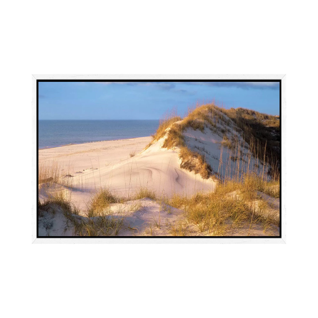 Sanddünen an der Küste, Halbinsel Saint Joseph, Florida von Tim Fitzharris - Galerie-verpackte Leinwand Giclée auf Leinw...